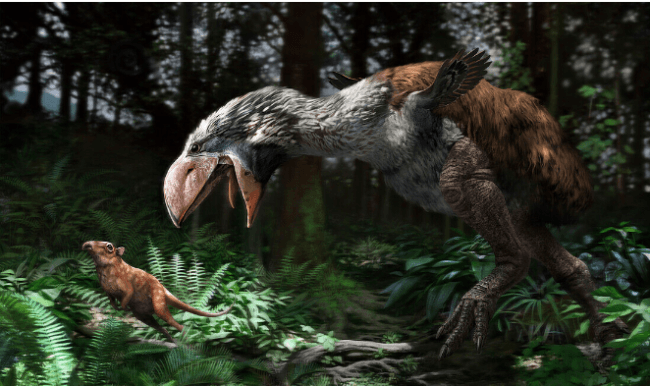 Gastornis