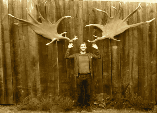 Irish Elk