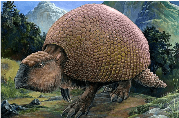 Megafauna